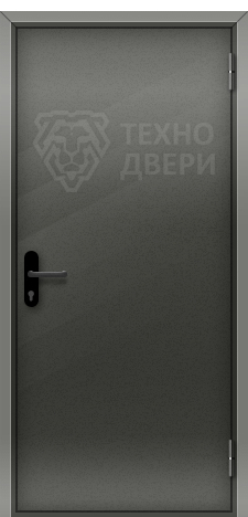 Дверь техническая железная с напылением Т-69