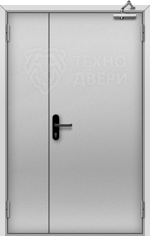 Дверь металлическая техническая входная уличная Т-38