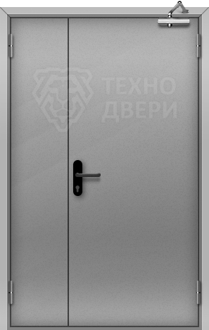 Техническая полуторная дверь с напылением Т-8