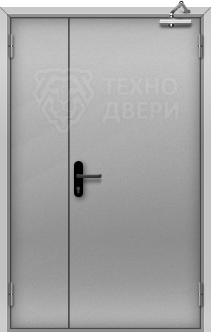 Дверь для сараев металлическая полуторостворчатая ТХ-194